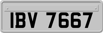 IBV7667