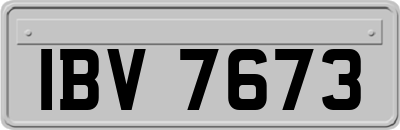 IBV7673
