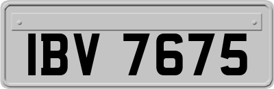 IBV7675