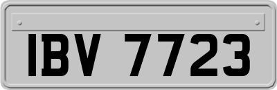 IBV7723