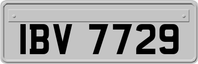 IBV7729