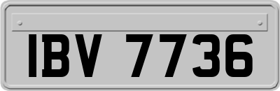 IBV7736