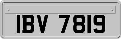 IBV7819
