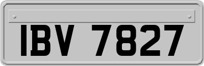 IBV7827