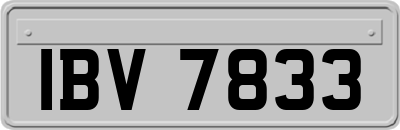 IBV7833
