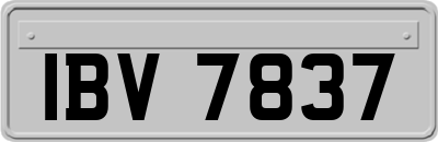 IBV7837
