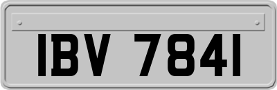 IBV7841