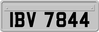IBV7844