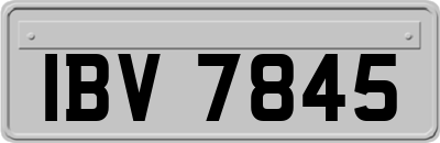 IBV7845
