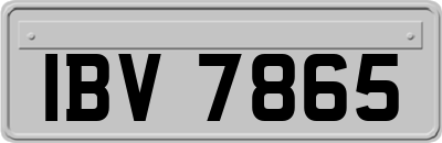 IBV7865