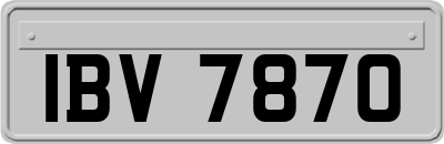 IBV7870