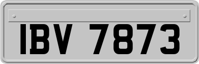 IBV7873