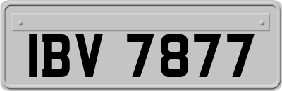 IBV7877