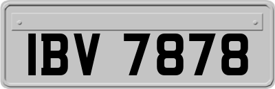 IBV7878