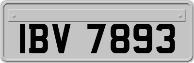 IBV7893