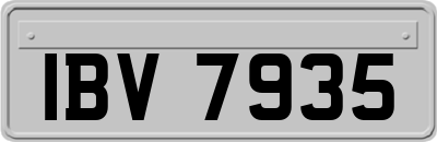 IBV7935