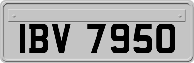 IBV7950