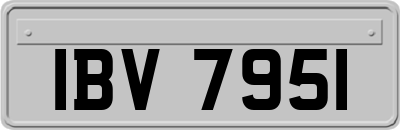 IBV7951