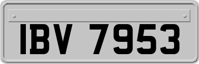 IBV7953