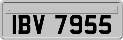 IBV7955
