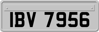 IBV7956