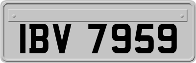IBV7959