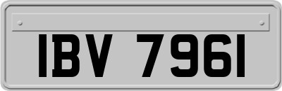 IBV7961