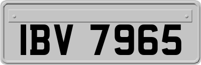 IBV7965