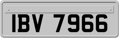 IBV7966