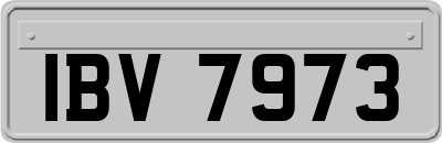 IBV7973