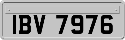 IBV7976