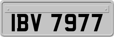 IBV7977
