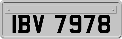 IBV7978