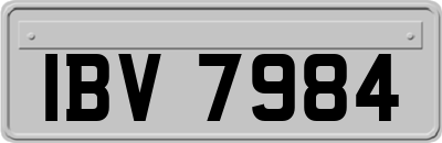 IBV7984