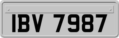 IBV7987
