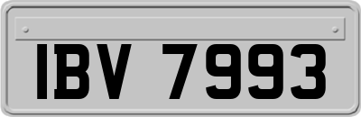 IBV7993