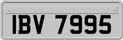 IBV7995