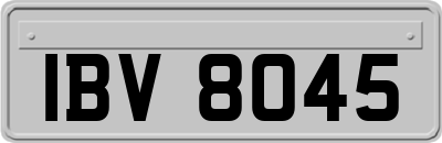 IBV8045