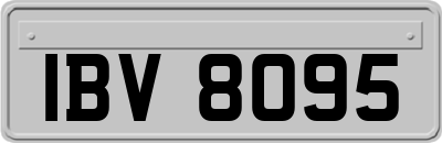 IBV8095