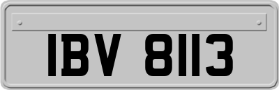 IBV8113