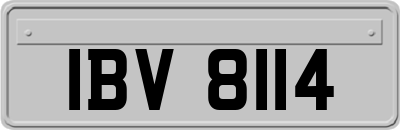 IBV8114