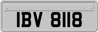 IBV8118