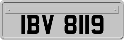 IBV8119