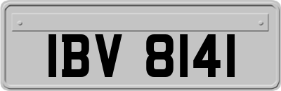 IBV8141