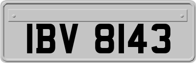 IBV8143