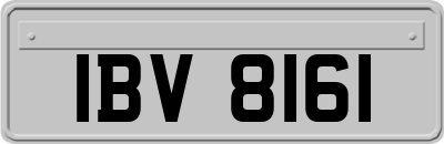 IBV8161