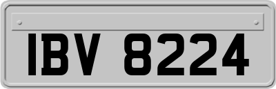 IBV8224