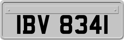IBV8341
