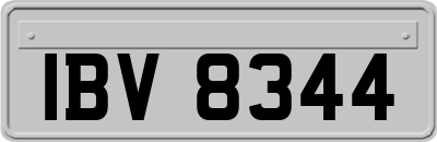 IBV8344