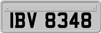 IBV8348